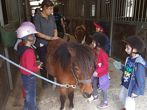 il-giardino-di-filly-attivita-scuole-mobile-1