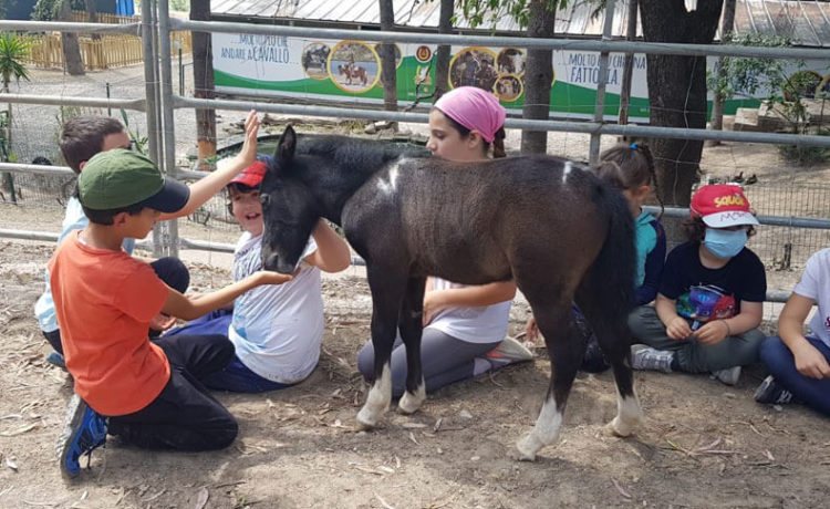 Torna il nostro agri-campus per bambini dai 3 ai 6 anni!