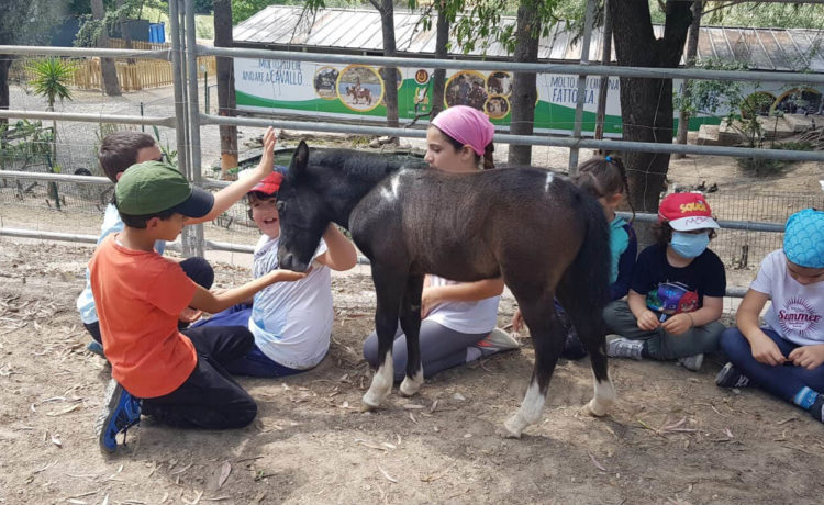 La fattoria didattica e il pony village sono aperti!