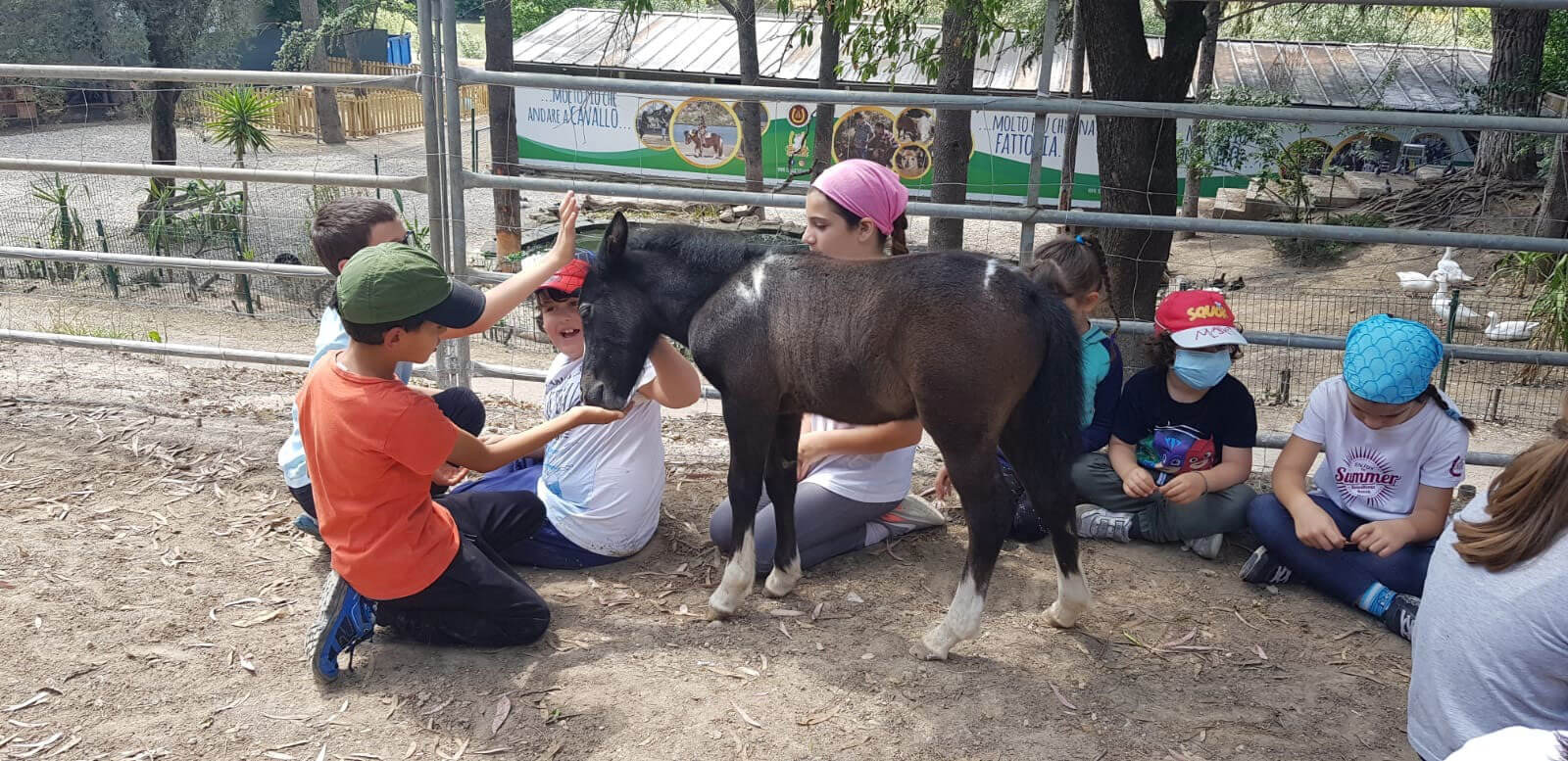 Prenota la tua visita in piena sicurezza e vieni a conoscere gli animali della fattoria!