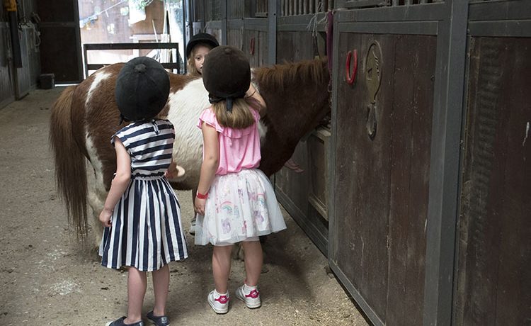 Mini-lezioni di avvicinamento ai pony a un prezzo speciale!