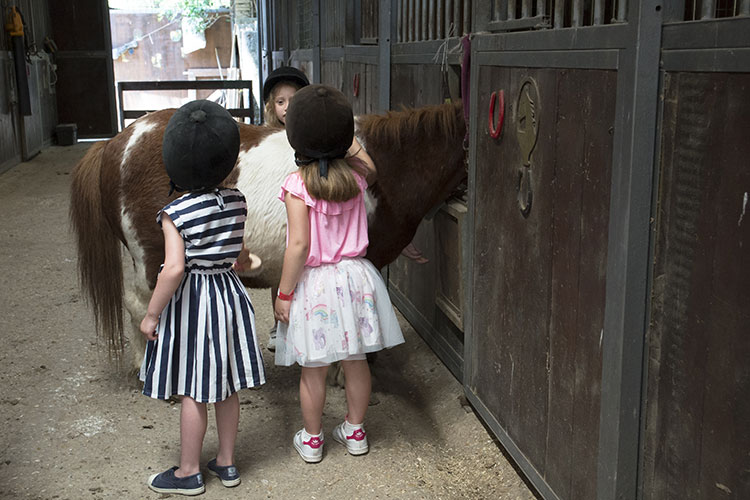 Il primo emozionante contatto con i pony in una formula che unisce didattica e divertimento.