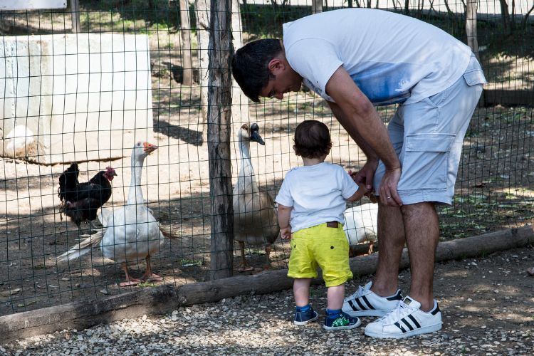 Vieni a conoscere i nostri amici animali.