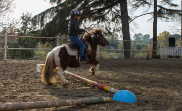 Una giornata dedicata ai bambini del Pony Club da trascorrere insieme. Ti aspettiamo domenica 5 marzo nella nostra fattoria didattica.