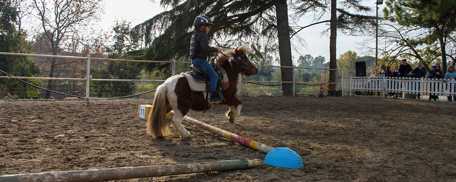 Una giornata dedicata ai bambini del Pony Club da trascorrere insieme. Ti aspettiamo domenica 5 marzo nella nostra fattoria didattica.