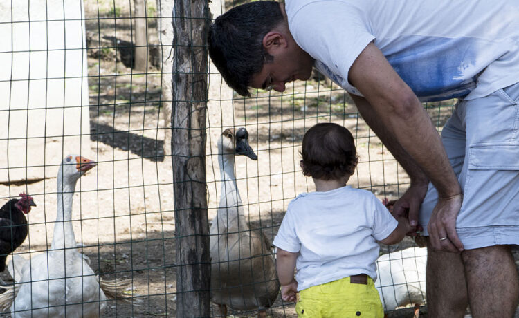 Partecipa alla Festa del Papà