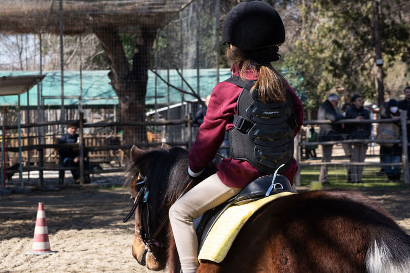 Voglia di una gita fuori porta? Tutti i weekend di agosto ci trovi con i nostri pony a Camporotondo.