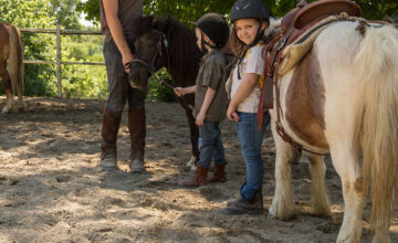 Voglia di una gita fuori porta? Tutti i weekend di luglio e agosto ci trovi con i nostri pony a Camporotondo, in provincia de L’Aquila.