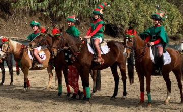 Una giornata dedicata ai bambini del Pony Club da trascorrere insieme. Ti aspettiamo domenica 10 dicembre nella nostra fattoria didattica.