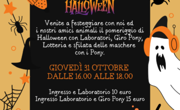 Un evento da brivido per grandi e piccini !  Vi aspettiamo il31 ottobre, dalle 16:00 alle 18:00, per festeggiare con i nostri amici animali e per partecipare a tante attività